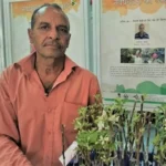 Hariman Sharma: The Apple Man of India Who earned Padma Shri