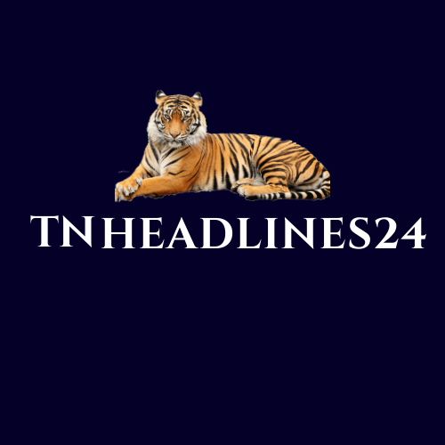 TN HEADLINES24