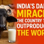 India’s Dairy Miracle