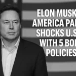 Elon Musk, America Party